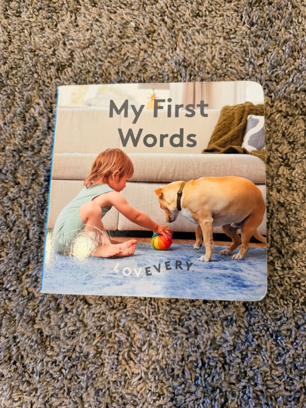 Lovevery My First Words Board Book - Blue Cover